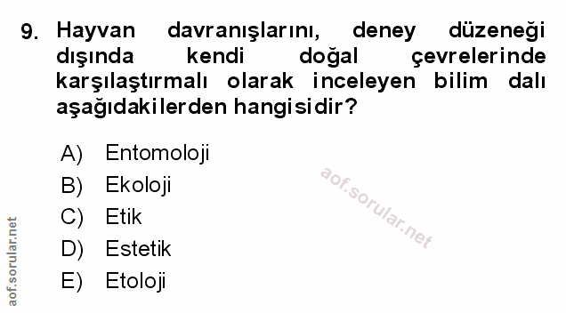 Soru 9