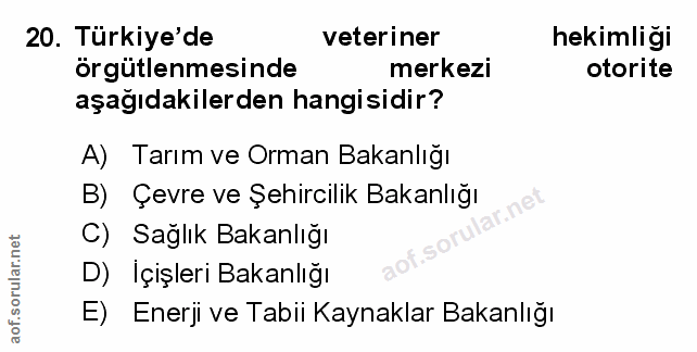 Soru 20