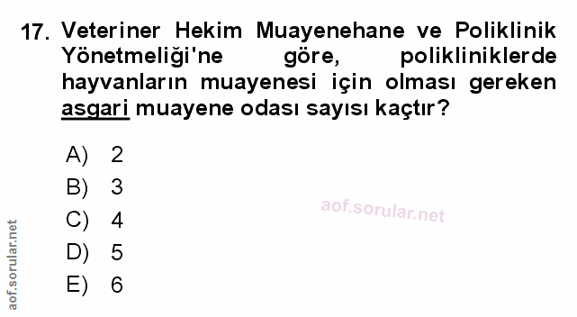 Soru 17