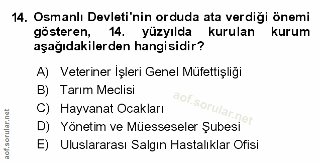 Soru 14