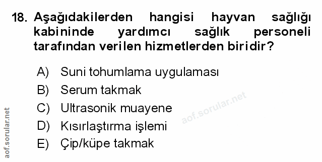Soru 18