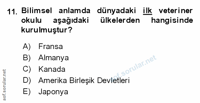 Soru 11