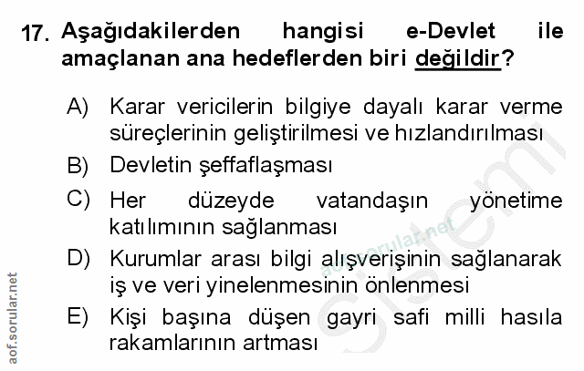 Soru 17