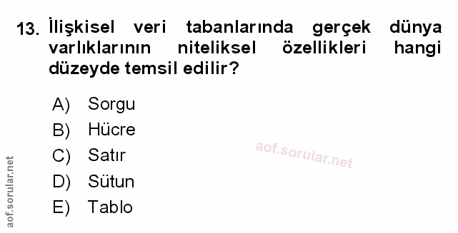 Soru 13