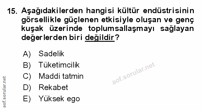 Soru 15