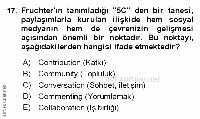 Soru 17