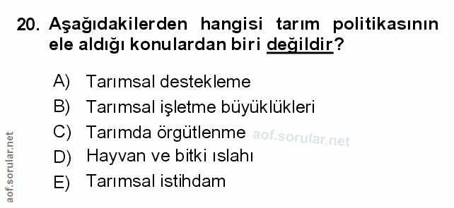 Soru 20