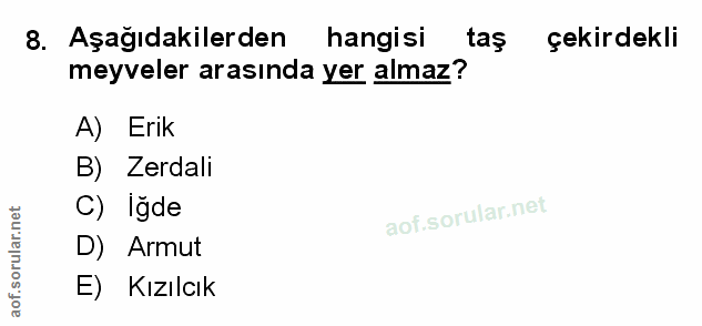 Soru 8