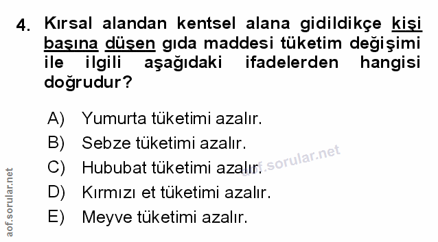 Soru 4