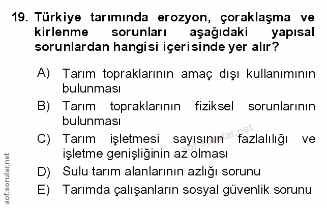 Soru 19