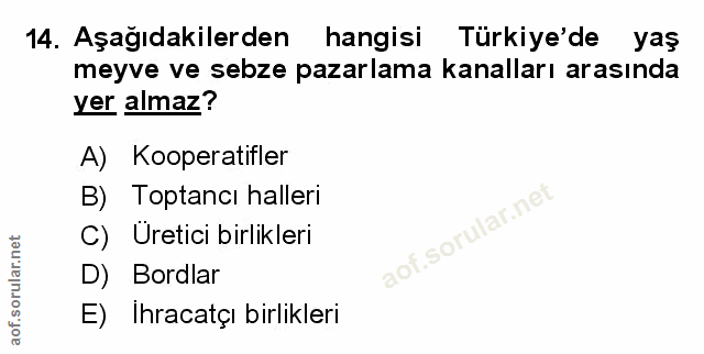 Soru 14