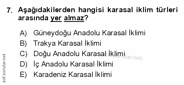 Soru 7