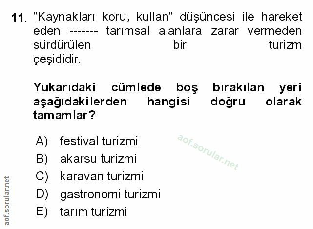Soru 11