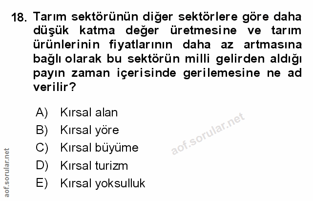 Soru 18