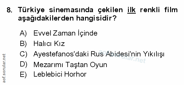 Soru 8