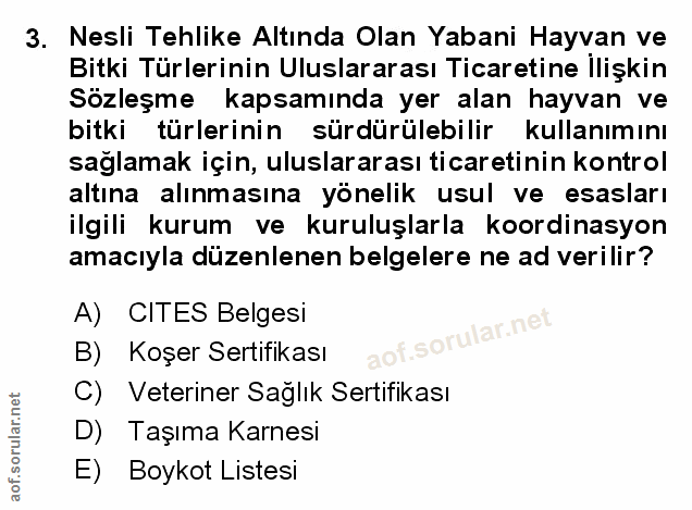 Soru 3