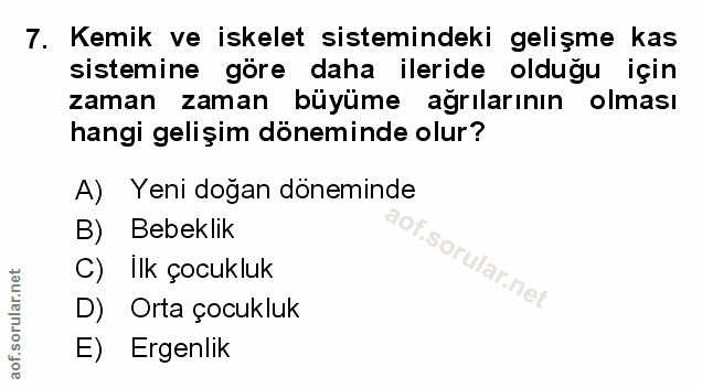 Soru 7