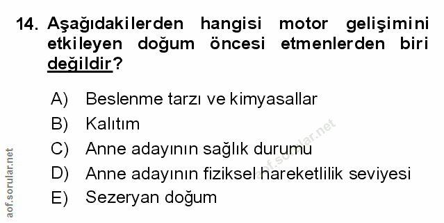 Soru 14