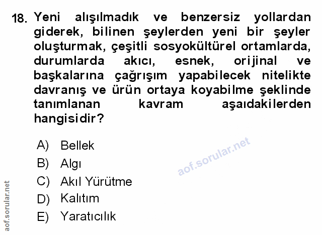 Soru 18
