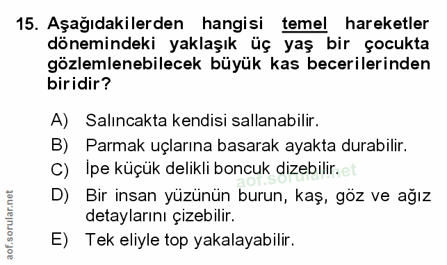Soru 15