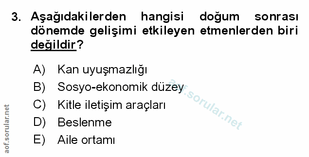 Soru 3
