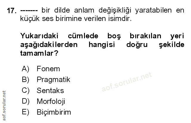 Soru 17