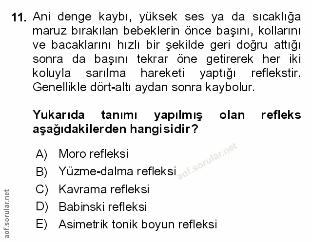 Soru 11