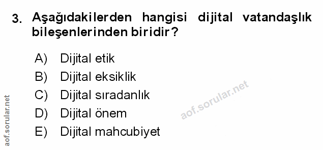 Soru 3