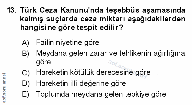 Soru 13