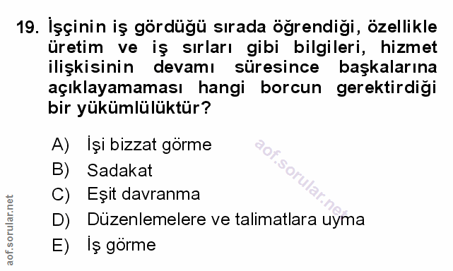Soru 19