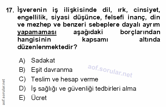 Soru 17