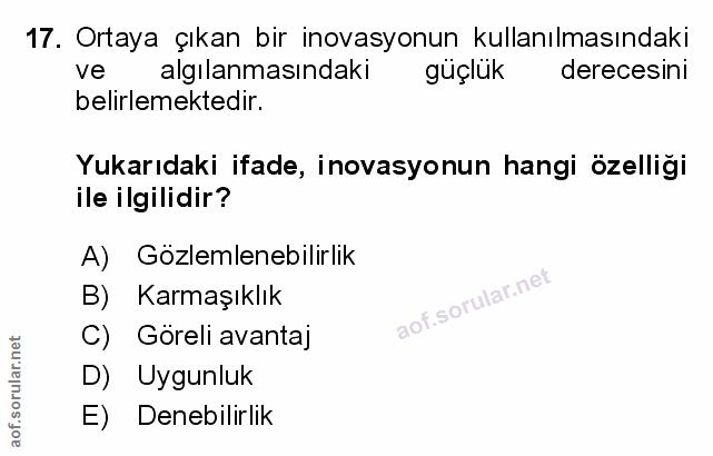 Soru 17