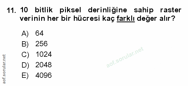 Soru 11