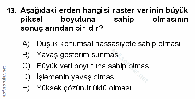 Soru 13