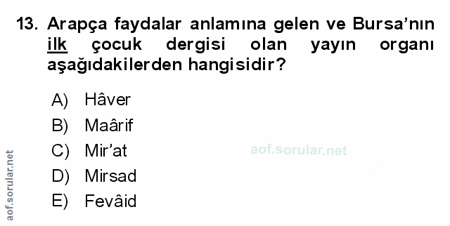 Soru 13