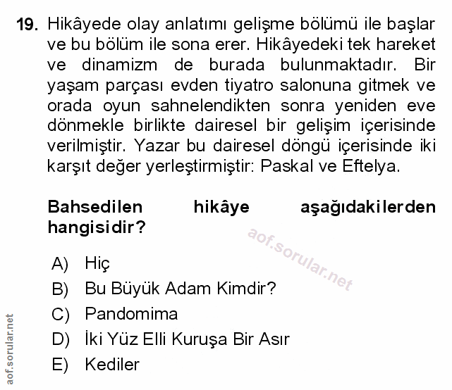 Soru 19