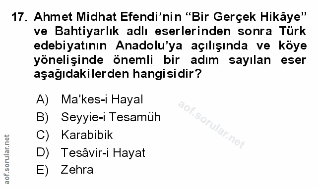 Soru 17