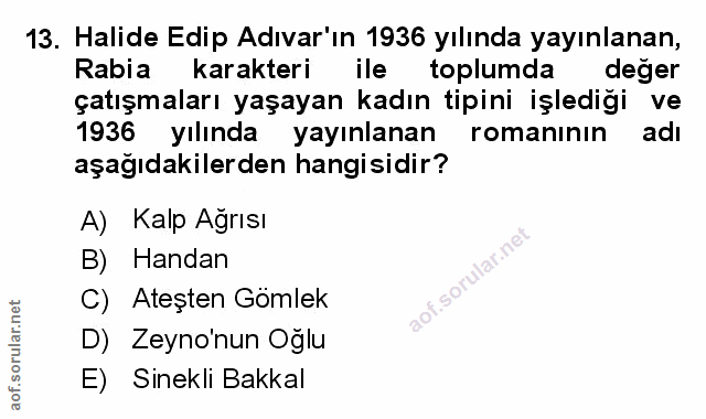 Soru 13