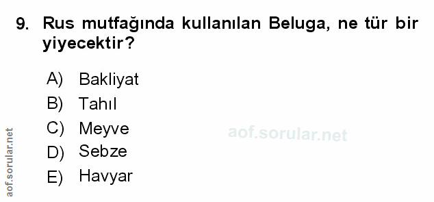 Soru 9