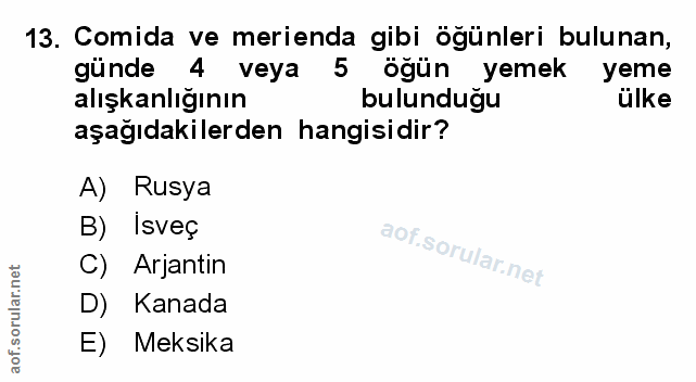 Soru 13