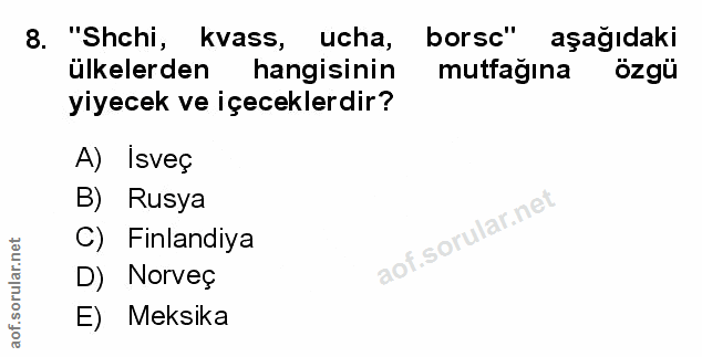Soru 8