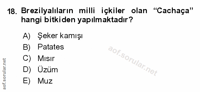 Soru 18