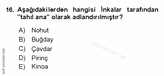 Soru 16