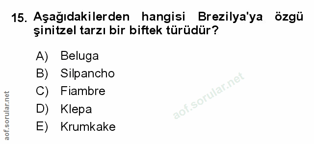 Soru 15