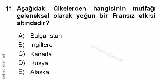 Soru 11