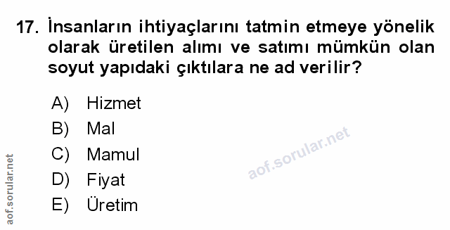 Soru 17
