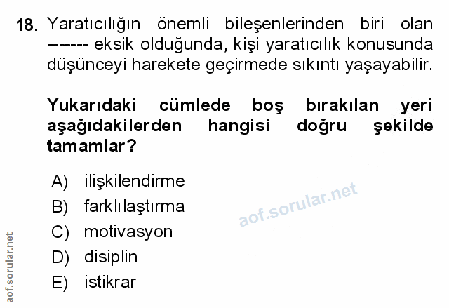 Soru 18