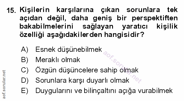 Soru 15