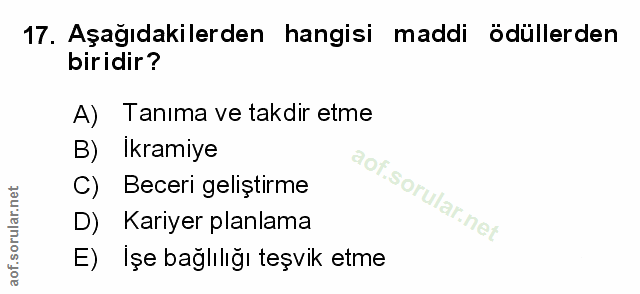 Soru 17