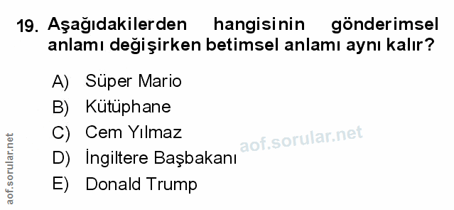 Soru 19